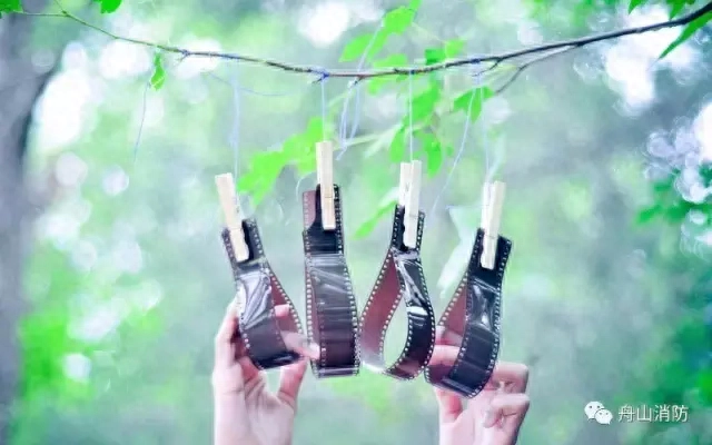 美文节选｜我的青少年时代(图4)