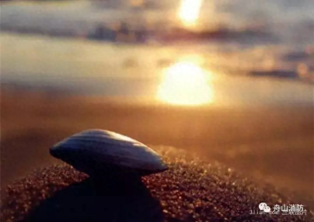 美文节选｜我的青少年时代(图14)