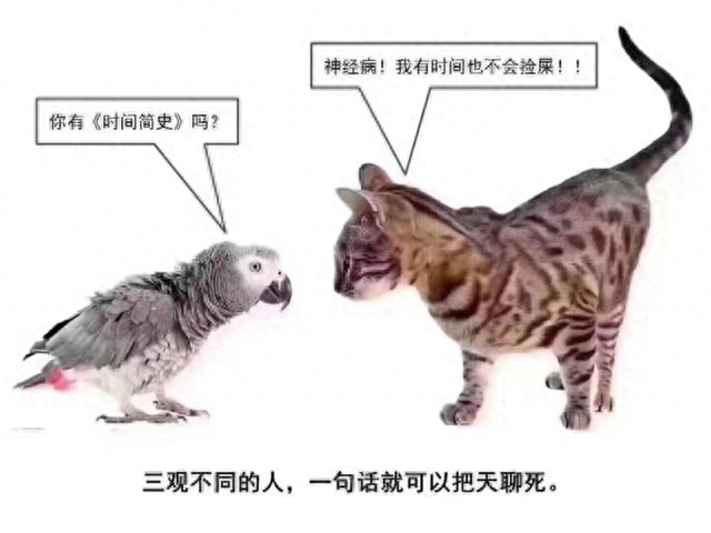 人间清醒：阅尽人间春色，参透世态炎凉(图12)