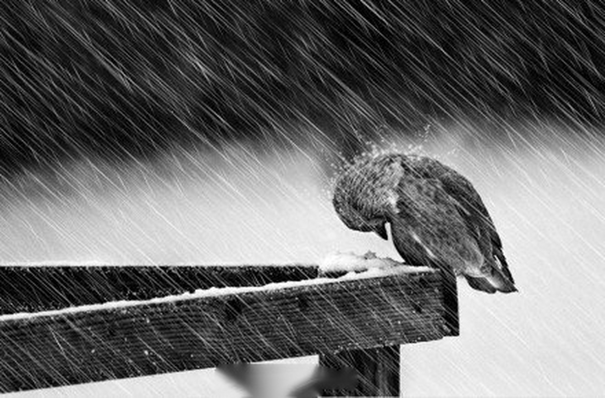 人间清醒：阅尽人间春色，参透世态炎凉(图29)