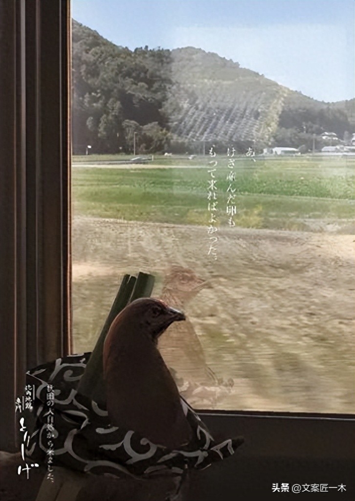 十句很有意思的文案（3）(图4)