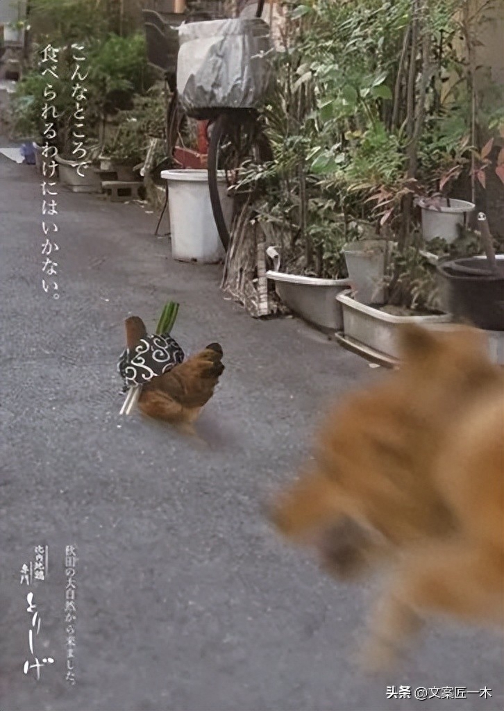 十句很有意思的文案（3）(图5)