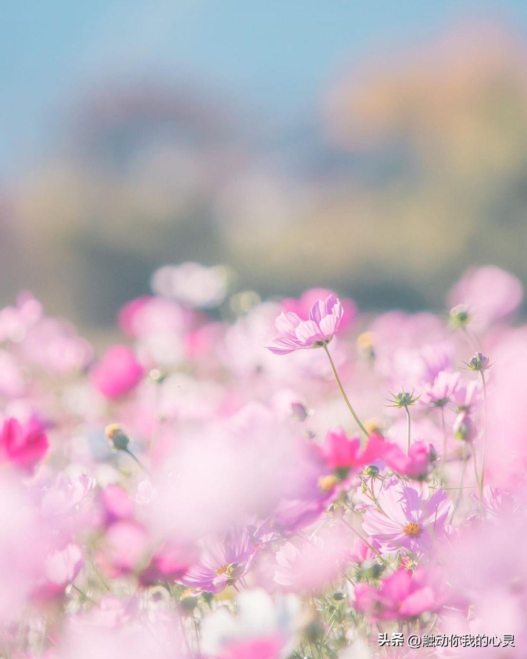 下雨伤感说说大全，伤感入体，痛彻心扉！(图1)