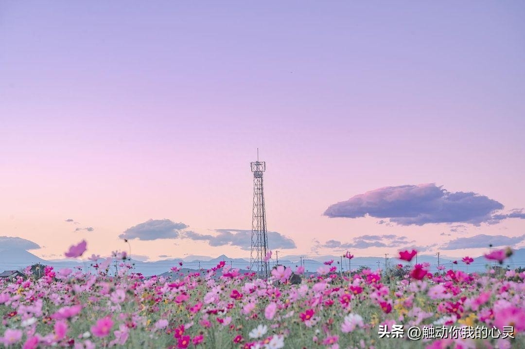 下雨伤感说说大全，伤感入体，痛彻心扉！(图2)