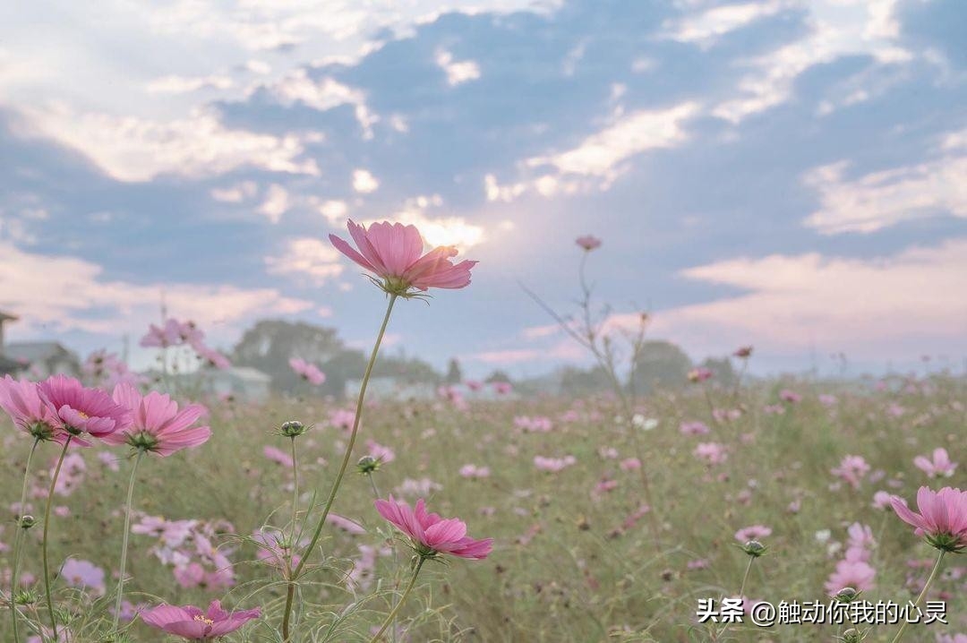 下雨伤感说说大全，伤感入体，痛彻心扉！(图6)