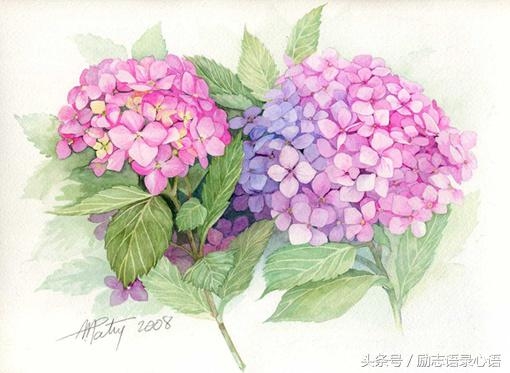 工作感悟8句，想发朋友圈(图2)