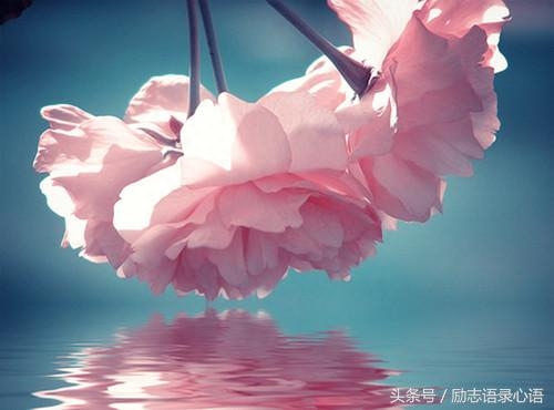 工作感悟8句，想发朋友圈(图3)