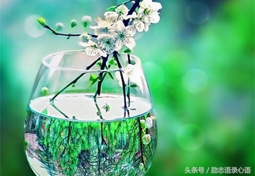 工作感悟8句，想发朋友圈(图4)