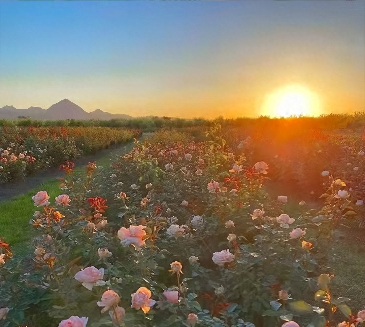 文案｜"分享欲是最高级的爱"(图3)