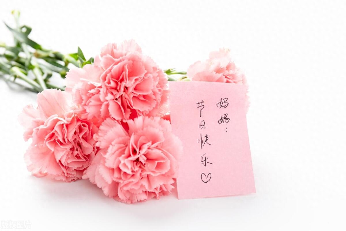 母亲节到了，15段感恩母亲的句子(图1)