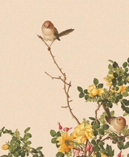 必评必赞的空间说说，简短精辟，句句经典(图3)