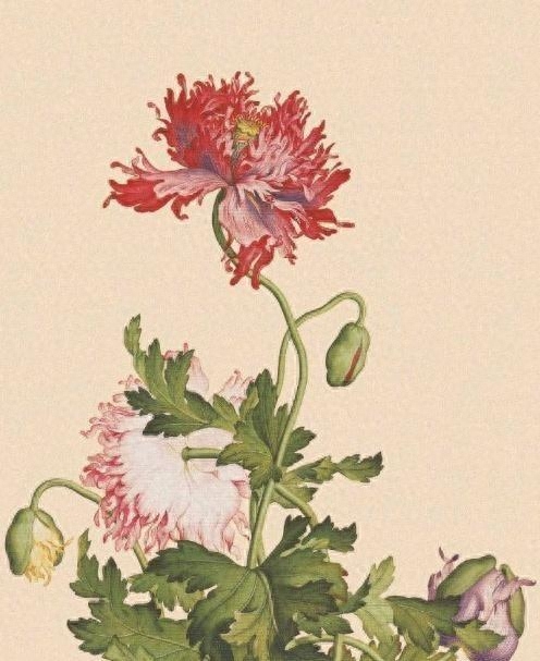 必评必赞的空间说说，简短精辟，句句经典(图5)