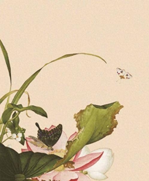 必评必赞的空间说说，简短精辟，句句经典(图6)