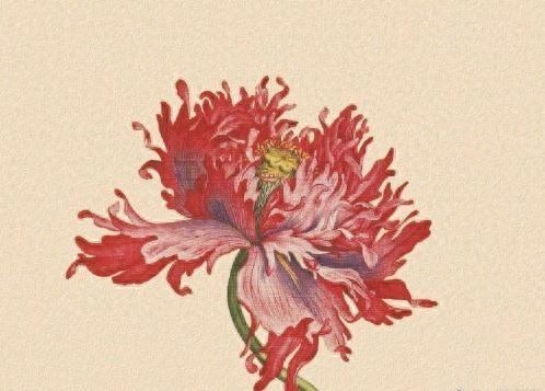 必评必赞的空间说说，简短精辟，句句经典(图8)