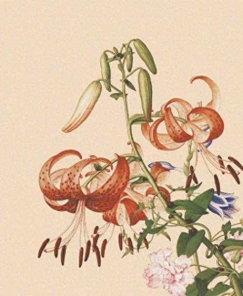 必评必赞的空间说说，简短精辟，句句经典(图9)