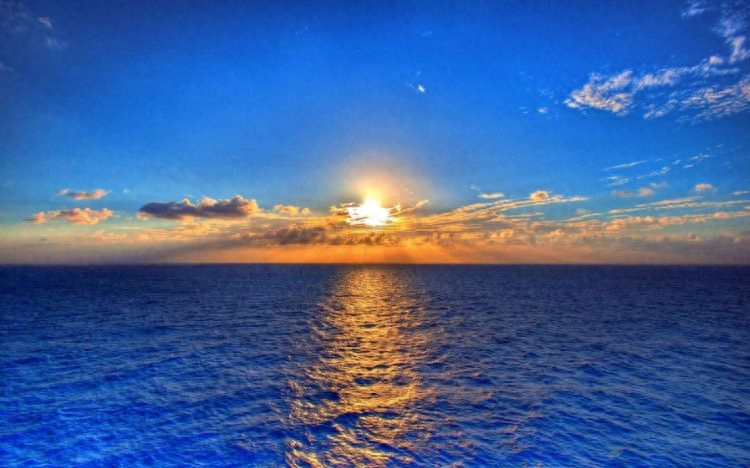 非常经典的句子：学会自信，学会坚强，要永远做生活的强者(图2)