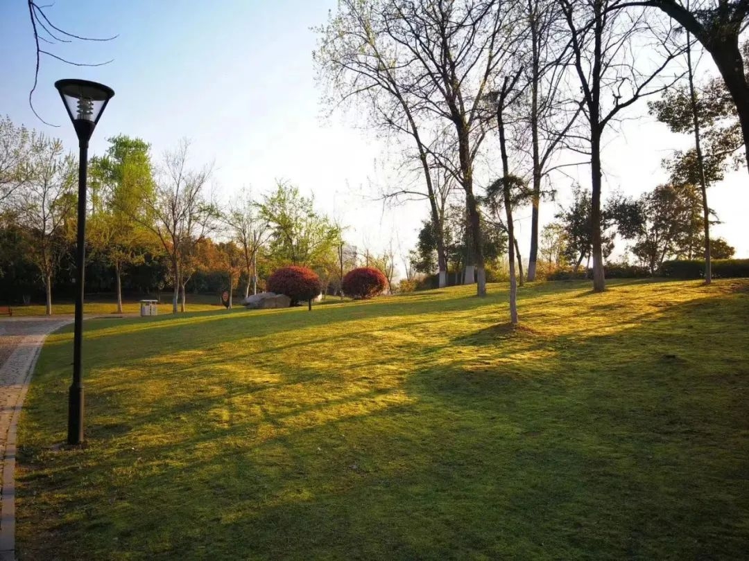 跑步超燃20条朋友圈内容，收藏够发一个月(图2)