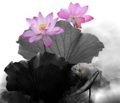 最精辟最现实的人生感悟文案，发朋友圈引人共鸣！(图2)