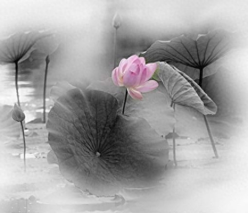 最精辟最现实的人生感悟文案，发朋友圈引人共鸣！(图3)