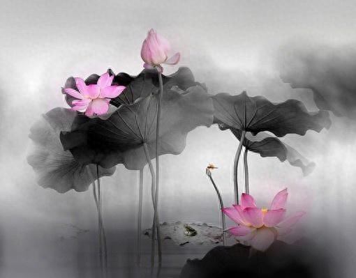 最精辟最现实的人生感悟文案，发朋友圈引人共鸣！(图4)