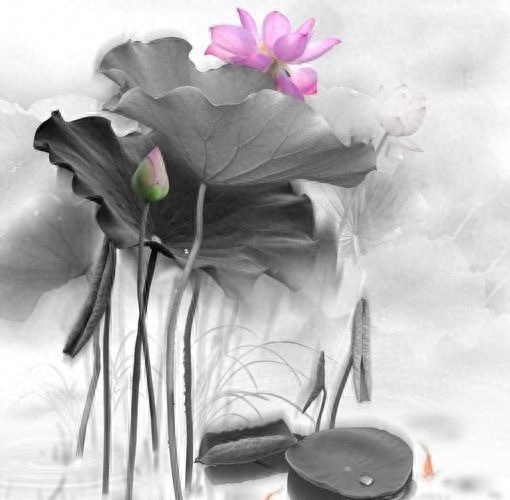 最精辟最现实的人生感悟文案，发朋友圈引人共鸣！(图6)