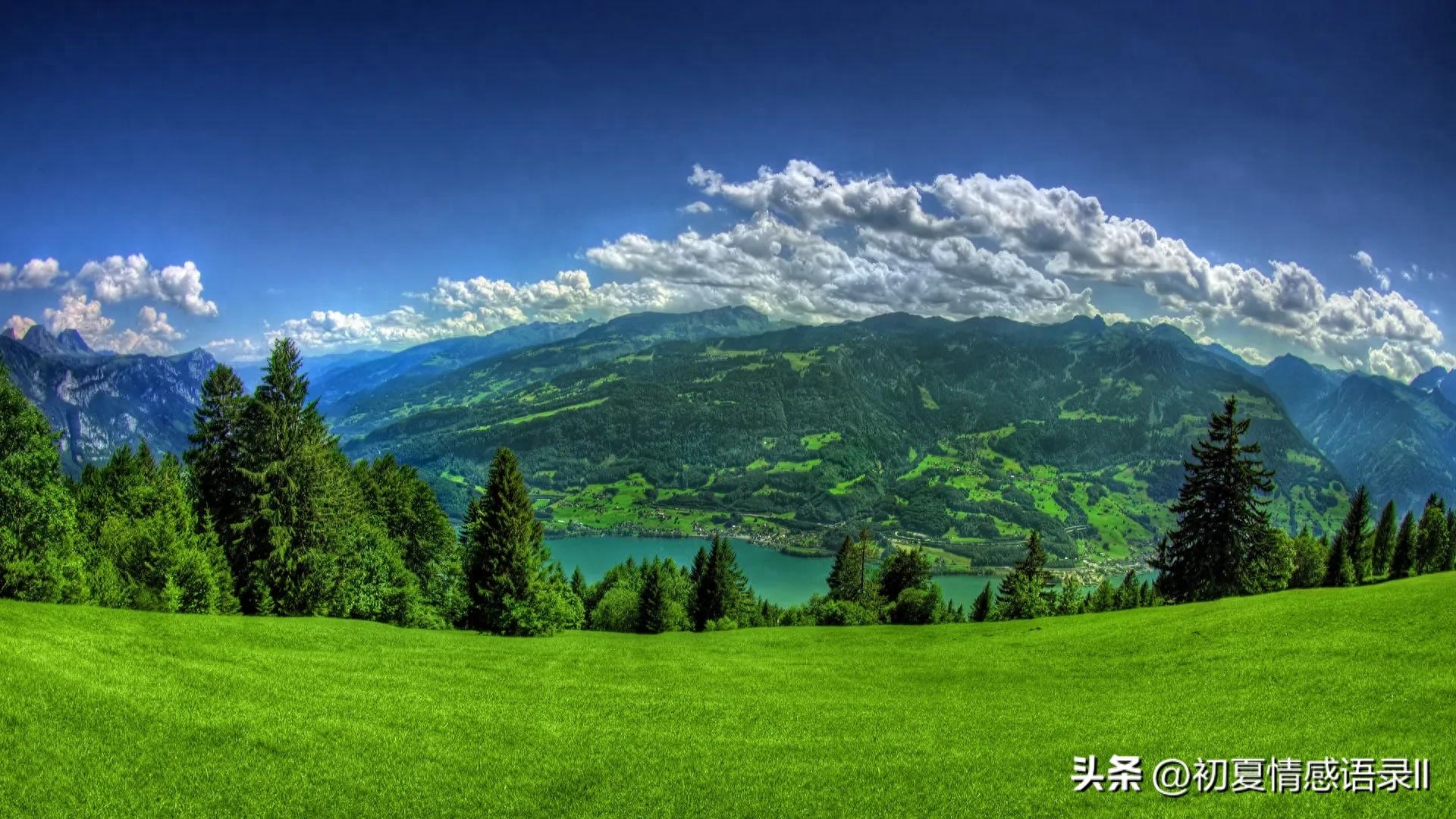 2023最新人生感悟的文案句子，句句精华(图1)