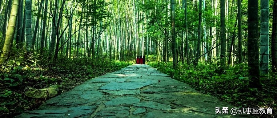 40组优秀作文经典结尾段落，暑假摘抄必备！(图3)