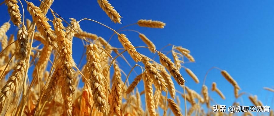 40组优秀作文经典结尾段落，暑假摘抄必备！(图4)