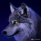 《狼图腾》狼的50句格言(图2)