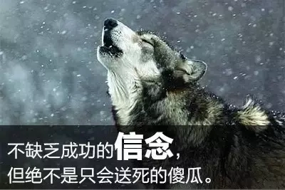 《狼图腾》中狼的15句人生格言(图3)