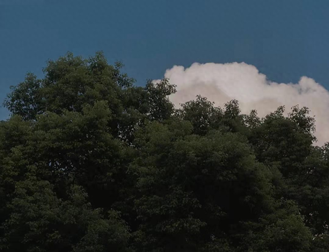 送给自己的65句励志句子｜每天一遍，防止颓废(图3)