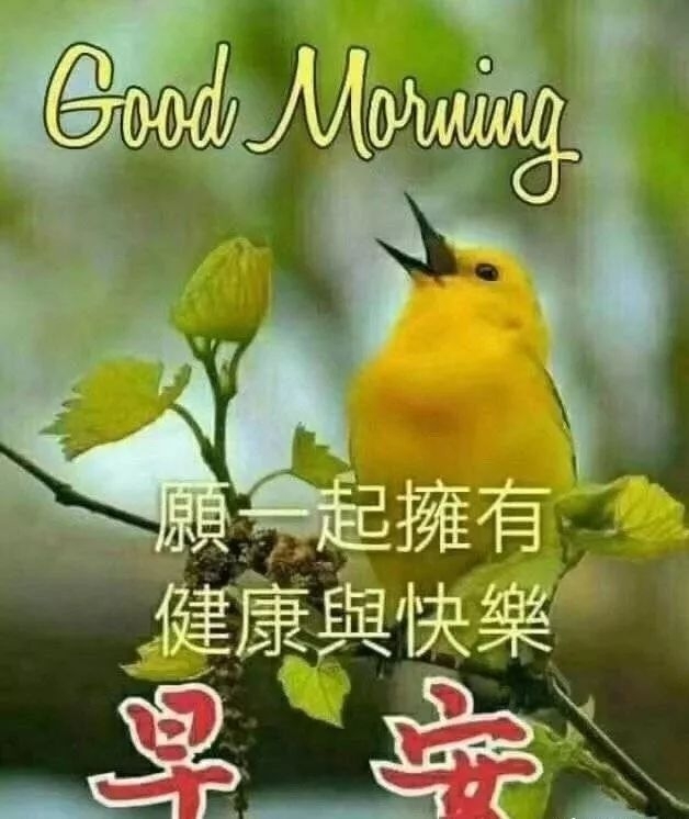 朋友早上好问候图片 早安心语正能量的励志说说 不完美才是人生真实(图7)