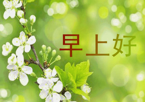 朋友早上好问候图片 早安心语正能量的励志说说 不完美才是人生真实(图10)