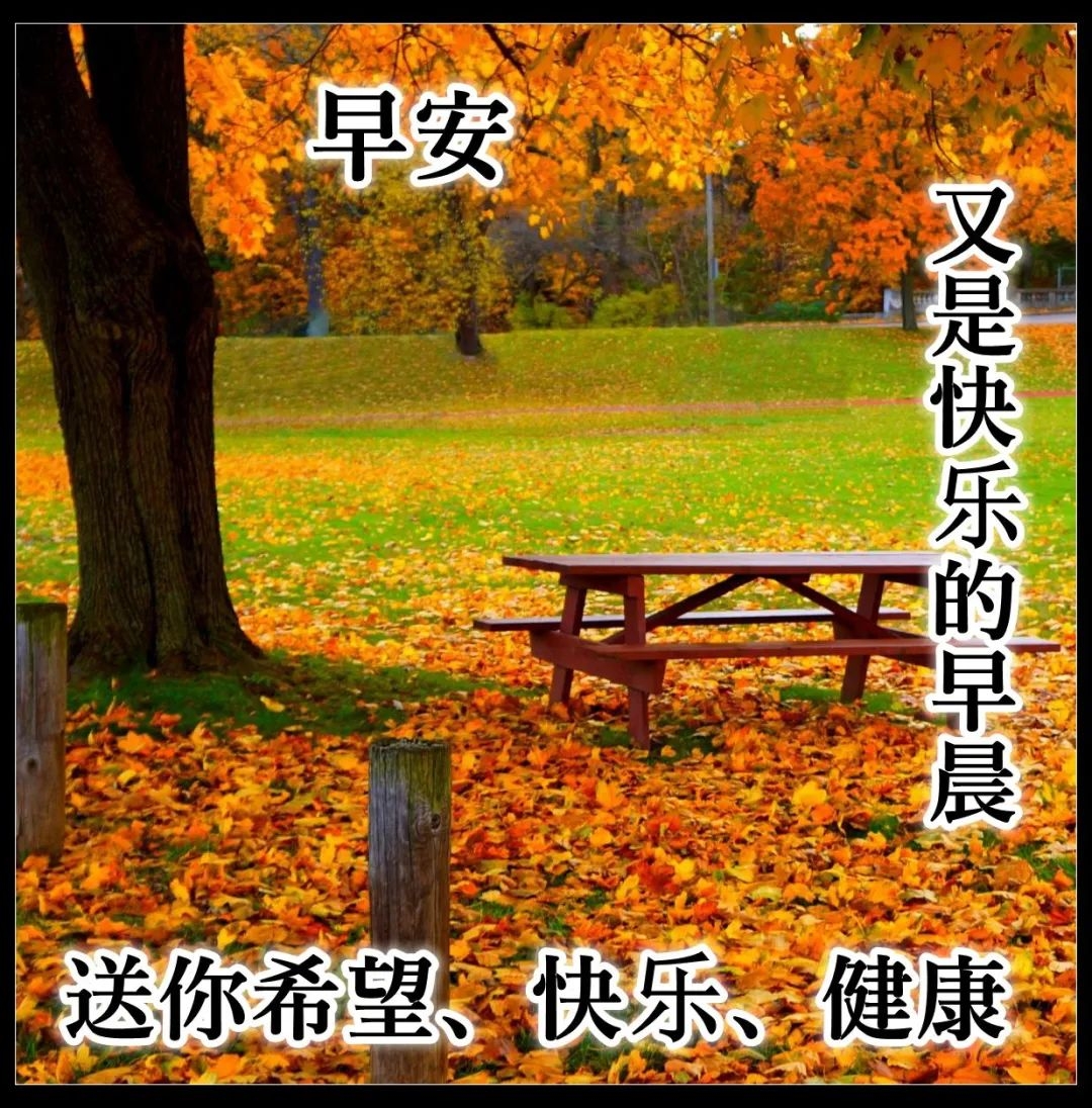 朋友早上好问候图片 早安心语正能量的励志说说 不完美才是人生真实(图11)