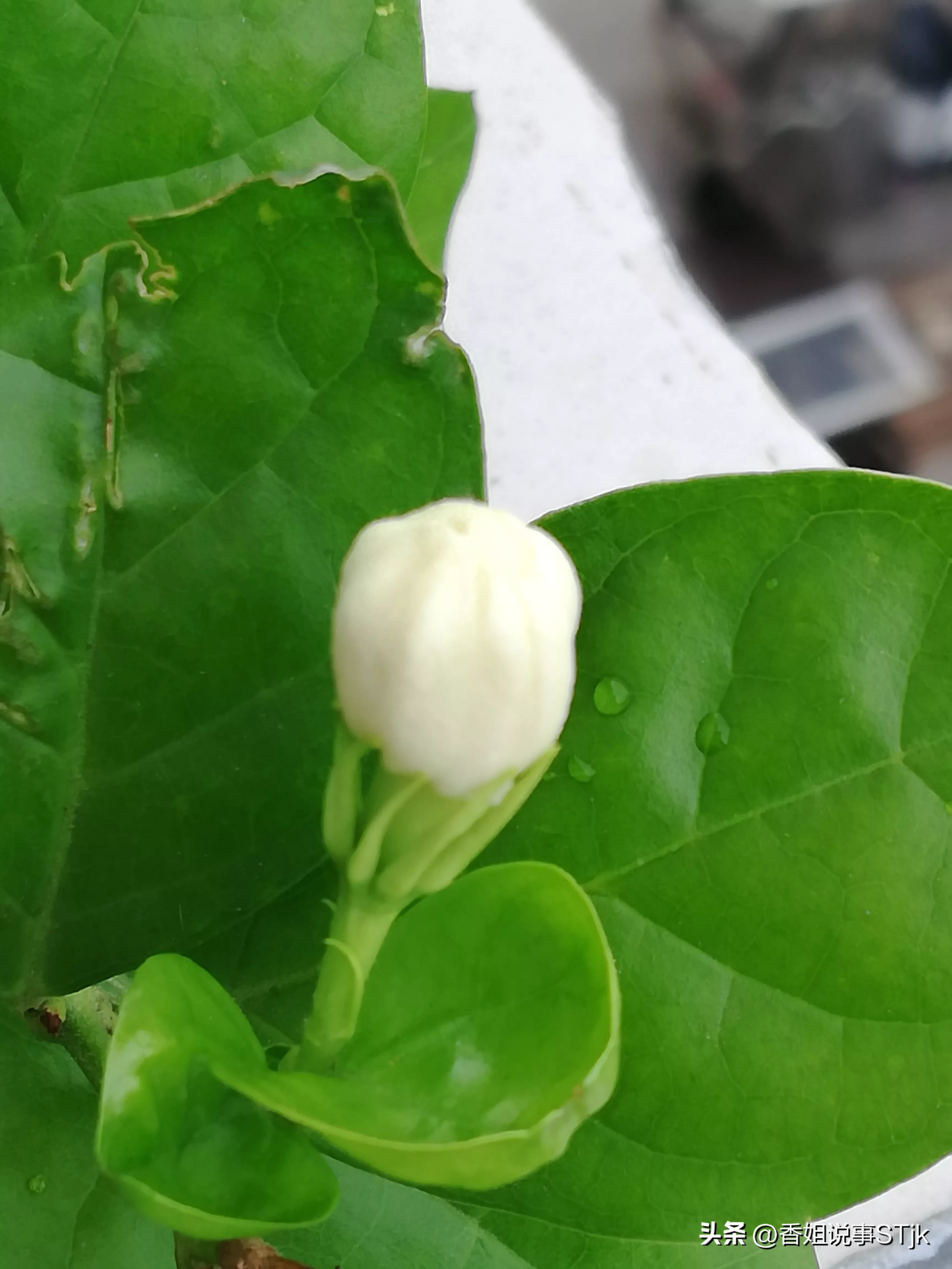 珍惜每一天，因为人生没有彩排(图2)