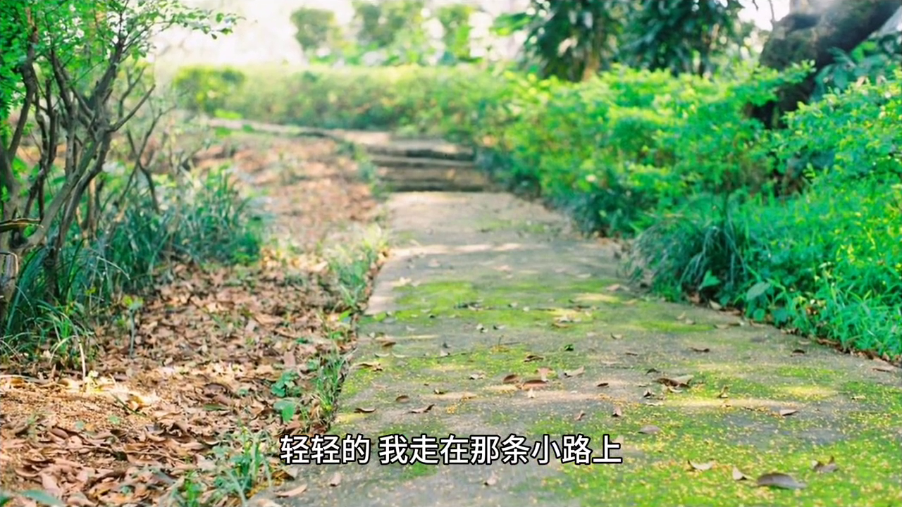 一首唯美歌曲《曾经最美》在耳边响起，仿佛在流云上舞蹈(图3)