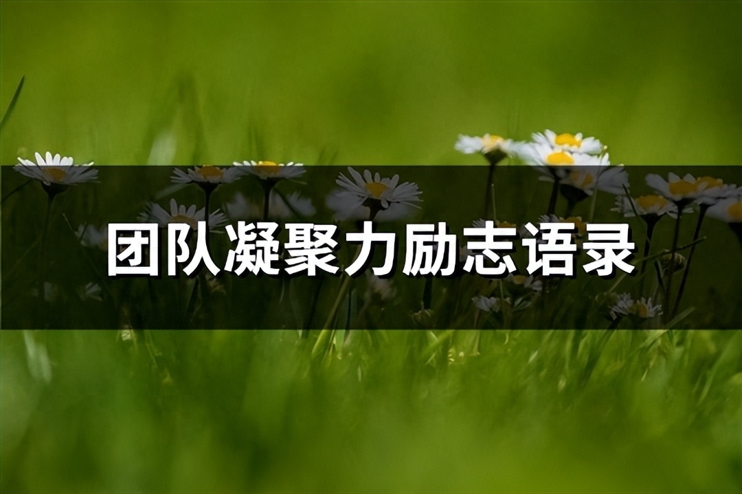团队凝聚力励志语录(必备63句)(图1)