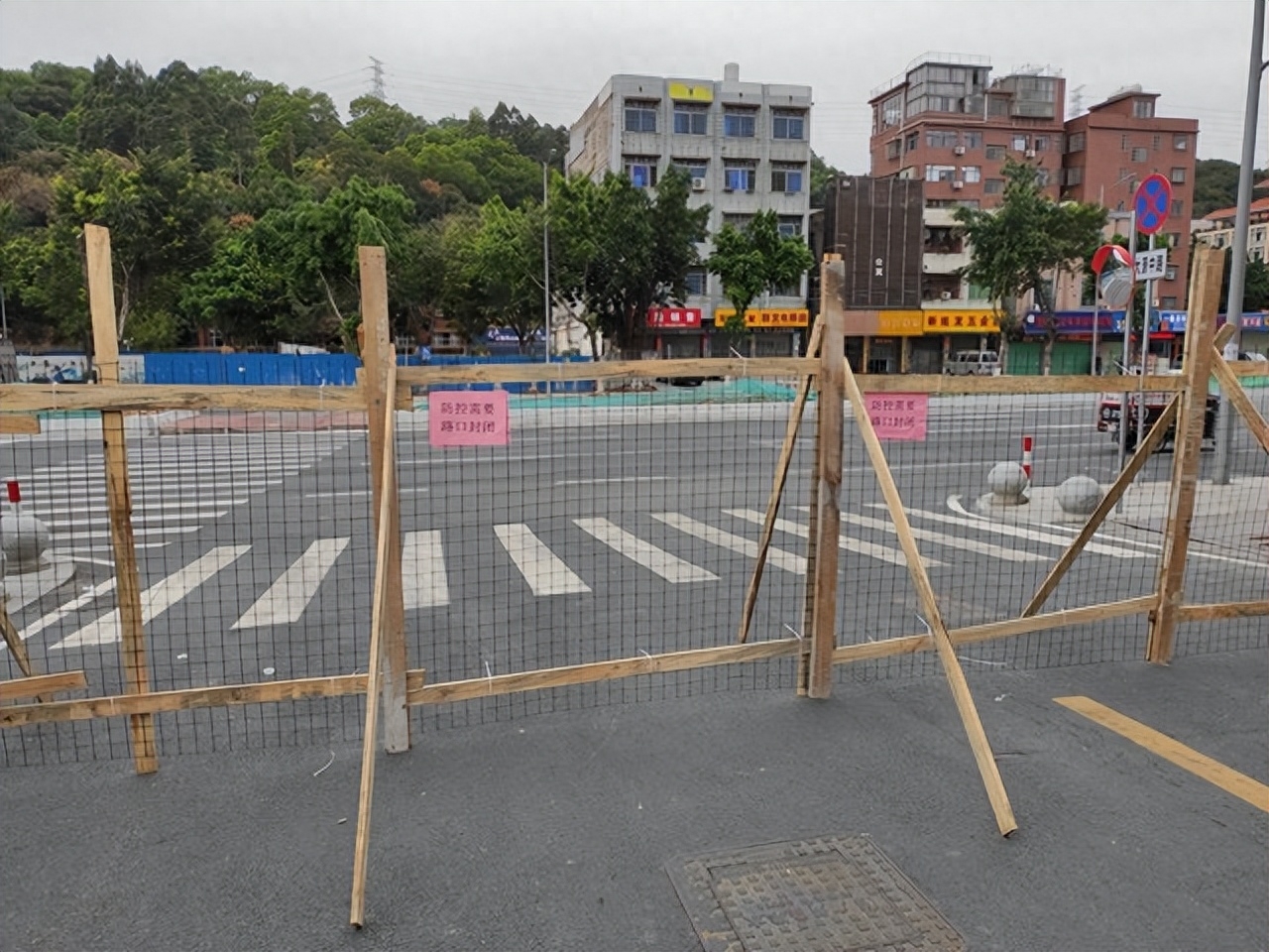 感谢你漂洋过海来爱我，愿我如星君如月，执子之手，与子偕老(图1)