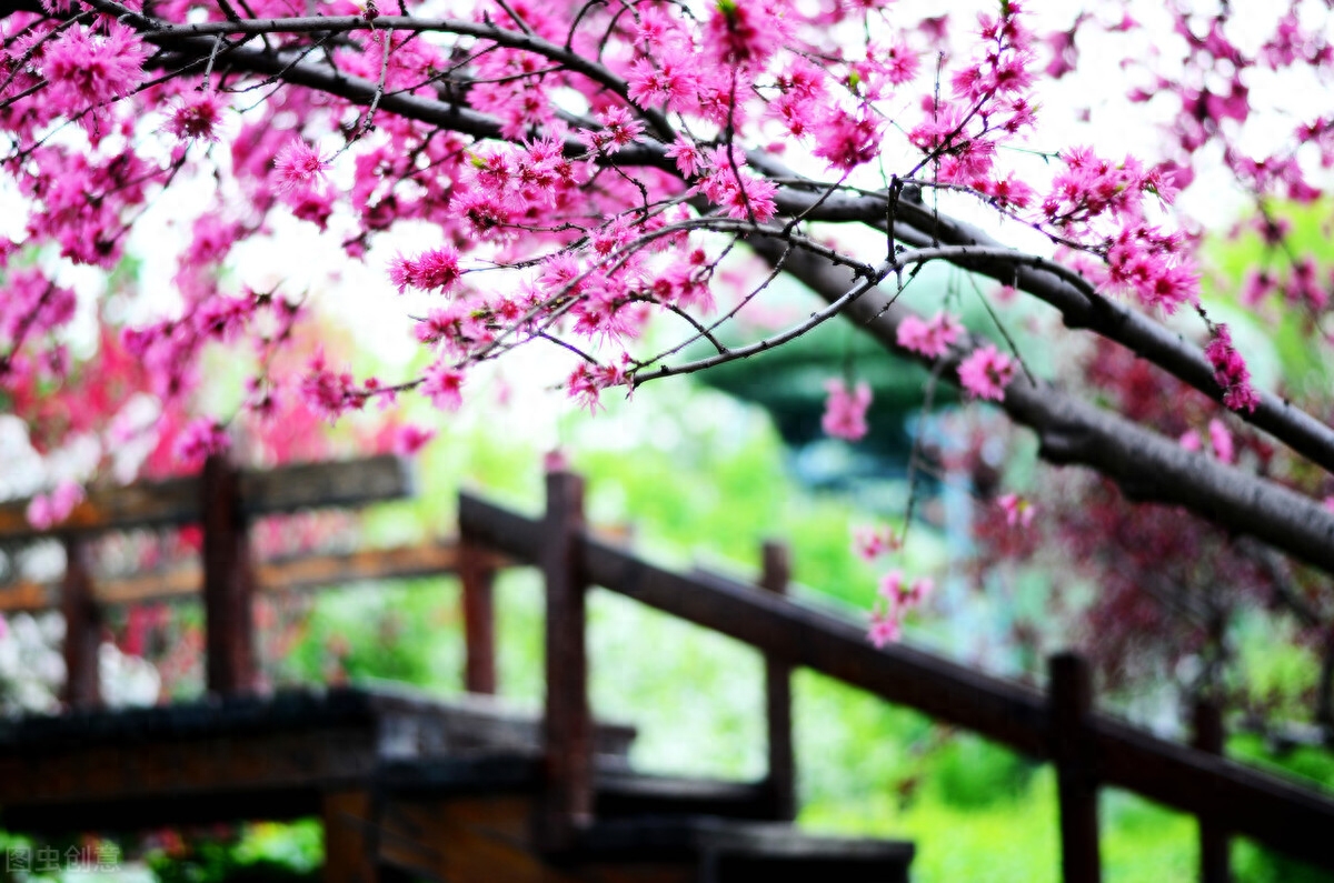 即使没有在诗和远方的路上，心中也有星辰大海(图2)