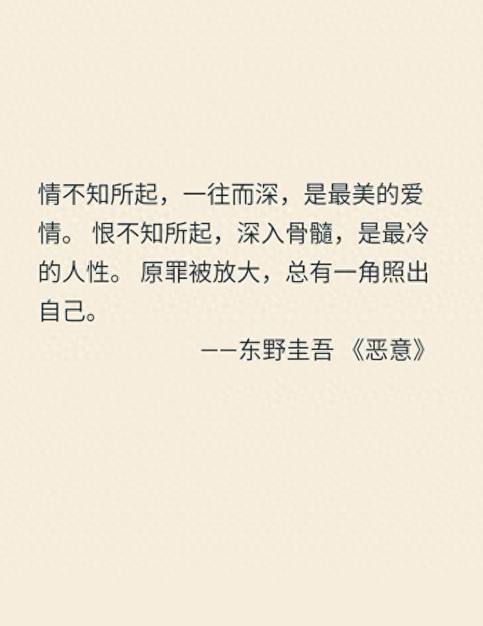 东野圭吾《恶意》摘抄向：原罪被放大，总有一角照出自己(图2)