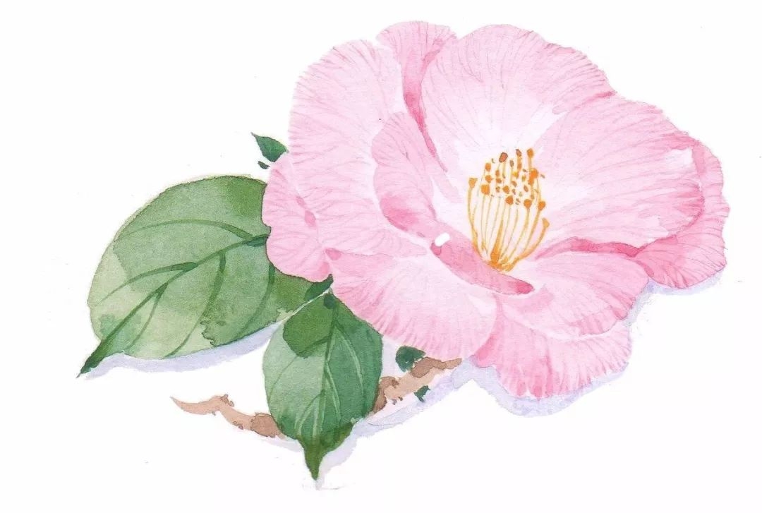 董卿：读书是为了遇到更好的自己(图3)