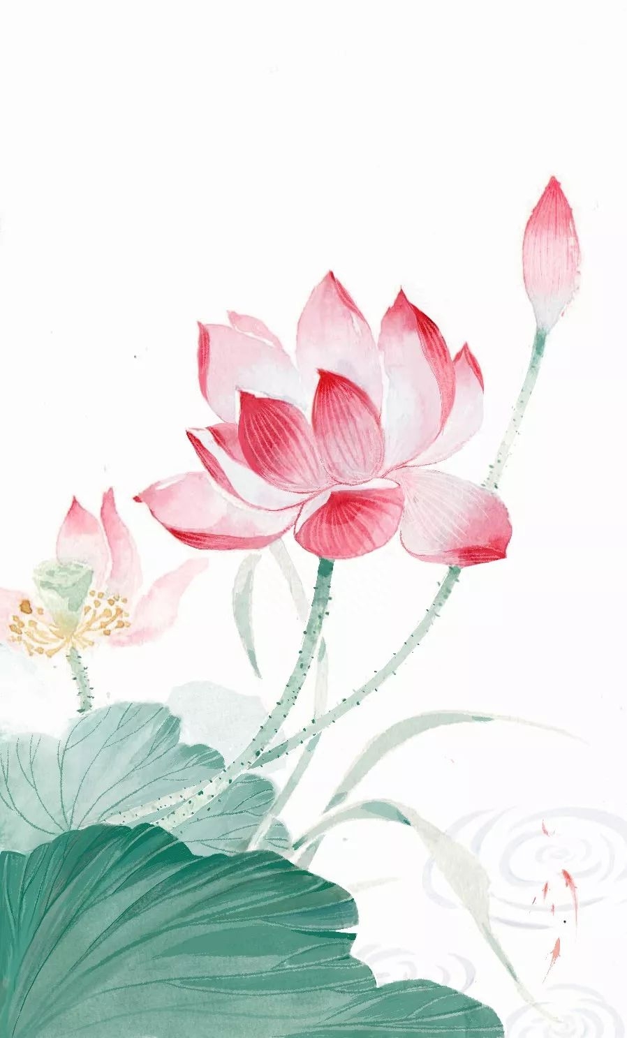 董卿：读书是为了遇到更好的自己(图4)