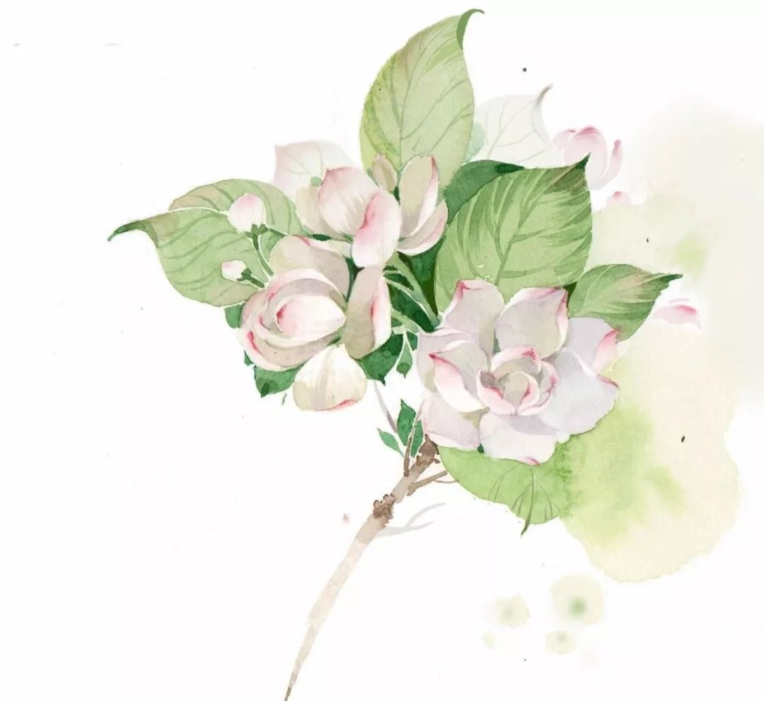 董卿：读书是为了遇到更好的自己(图6)