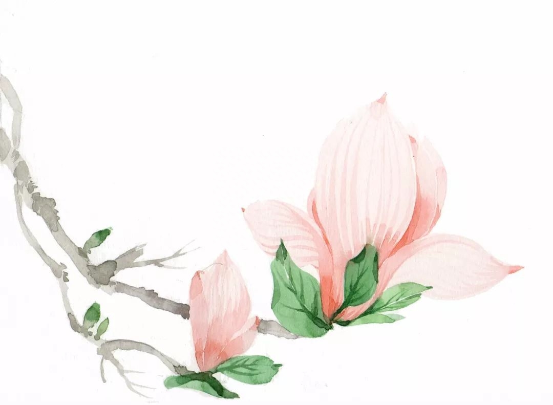 董卿：读书是为了遇到更好的自己(图7)