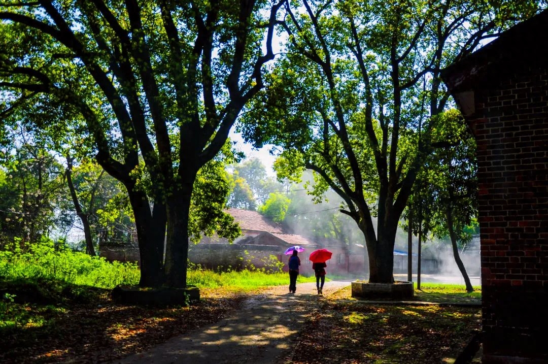 李白笔下的夏日，时光清浅，岁月如莲(图1)