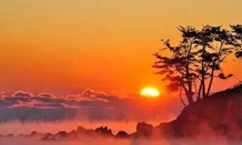 日子常新， 未来不远， 有趣有盼， 不负心中热爱(图2)