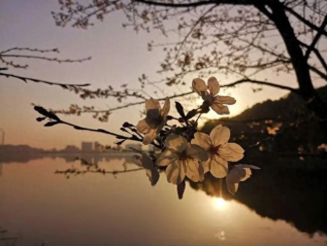 日子常新， 未来不远， 有趣有盼， 不负心中热爱(图3)