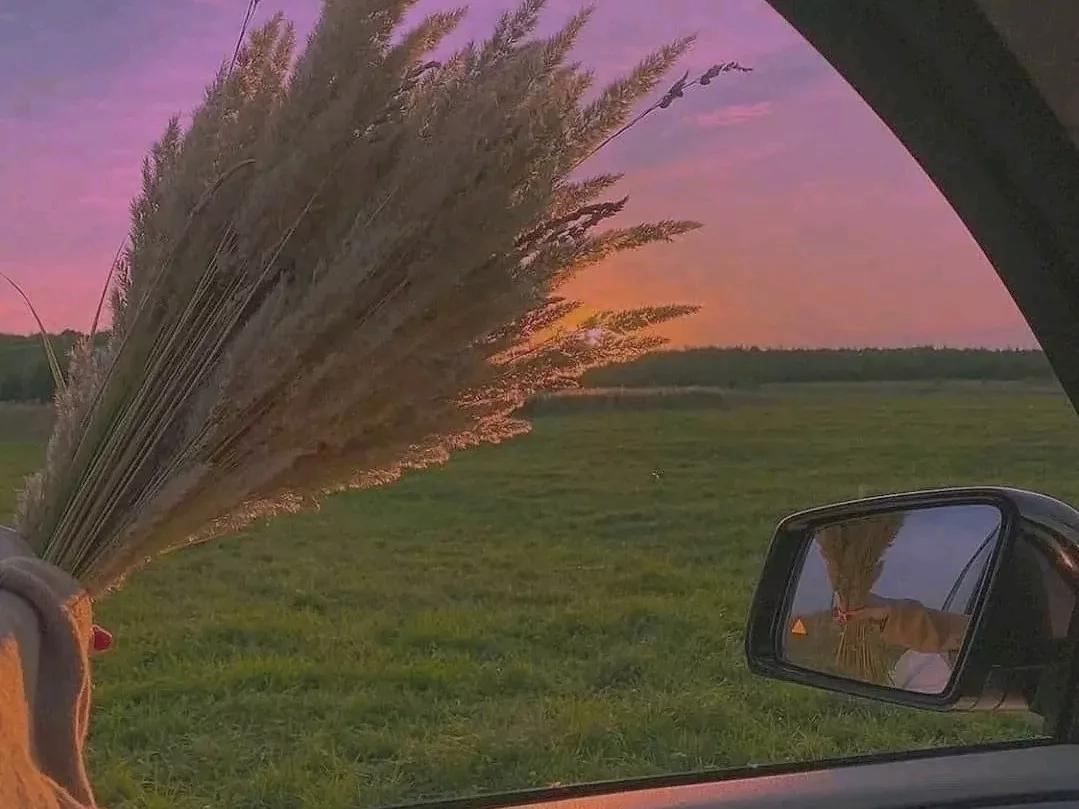 直接封神的微信个签短句文案(图1)