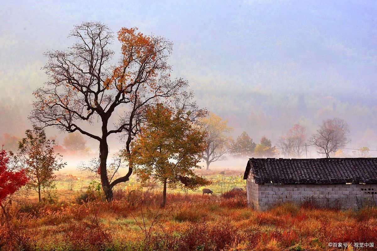 10句乡愁诗句，陪你回老家，安慰你的思乡之情(图3)