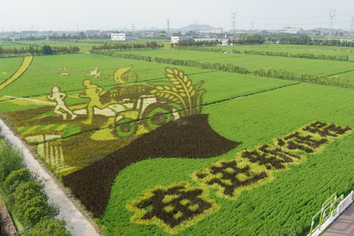 二十大适合发朋友圈的文案 | 喜迎二十大，奋进新征程(图4)